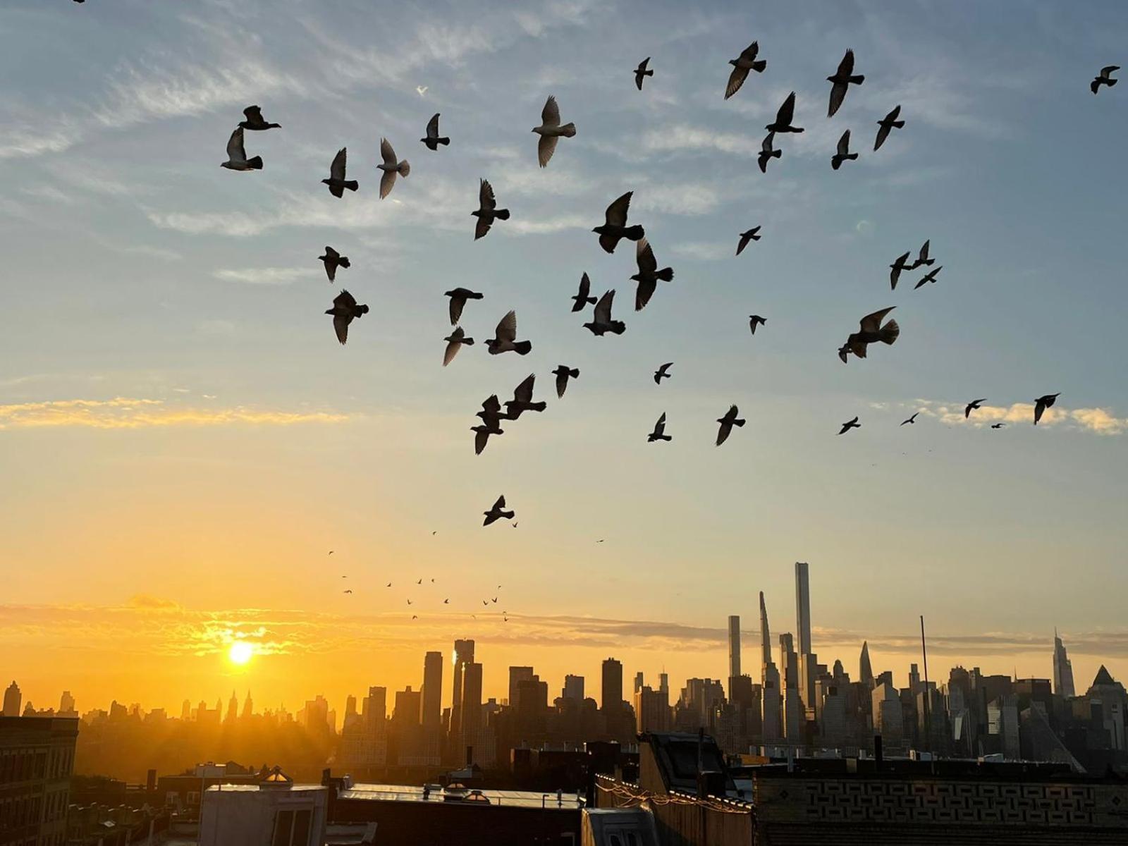 Ny Skyline One Of A Kind View Union City Exterior foto